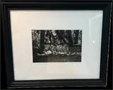 Ana Mendieta- Where Are Yo Black And White Photo by Black And White Photo, sold Aug 2026