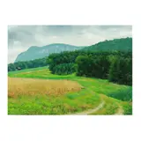 Moore's Knob by Ben Berns, Oil on paper, sold Dec 2025
