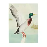 Flying Mallard by Duane Raver, Watercolor on paper, sold Nov 2025