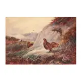 Partridges in a Landscape by R. G. Campbell, Watercolor on paper, sold Oct 2025