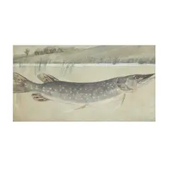 Northern Pike by Arthur Bowen Davies, Watercolor and gouache on paper, sold Oct 2025