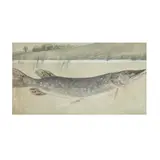 Northern Pike by Arthur Bowen Davies, Watercolor and gouache on paper, sold Oct 2025