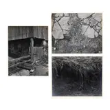 Three Pastoral Photographs by John Menapace, Each a gelatin silver print, sold Oct 2025