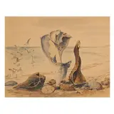 Still Life with Shells on a Beach by Raymond Bishop, Watercolor on paper, sold Oct 2025