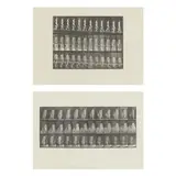 Two Plates from Animal Locomotion by Eadweard Muybridge, Each a collotype, sold Oct 2025