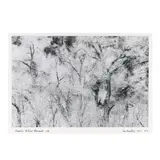 Bandelier National Monument, NM by John Rosenthal, Gelatin silver print, sold Oct 2025