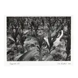 Chapel Hill, North Carolina by John Rosenthal, Gelatin silver print, sold Oct 2025