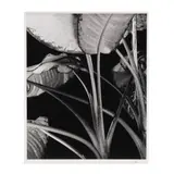 Untitled by Daniel Bowdoin, Gelatin silver print, sold Oct 2025