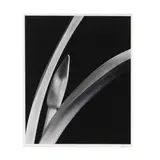 Untitled (Lily) by Daniel Bowdoin, Gelatin silver print, sold Oct 2025