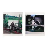 Two Photographs from Survivors: A New Vision of Endangered Wildlife by James Balog, C-prints, sold Oct 2025