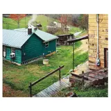 Green House, Southeastern Virginia by Burk Uzzle, Archival pigment print on Canson Baryta Photographique, sold Oct 2025