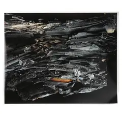 Burn Series Photograph by Burk Uzzle, Archival pigment print on Hahnemühle Photo Rag Baryta pigment paper, sold Oct 2025