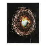 Humming Bird Nest #4 by Burk Uzzle, Archival pigment print, sold Oct 2025