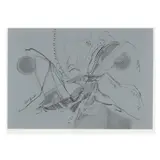 Allegory to Love, 1974-76 by William Majors, Etching and aquatint inked with silver roll, sold Oct 2025