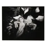 Winter Squash by Sally Mann, Gelatin silver print, sold Oct 2025