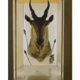 Bufalino by Juan Araújo, 2005, Huile sur panneau de bois MDF, sold Jan 2021