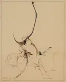 A collection of five ink on compositions by David Hurd, print (other), offered Oct 2026