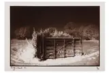 Untitled by Barney Edwards, print (other), offered Jan 2025
