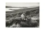Untitled by Kurt Hutton, photograph, offered Jan 2025