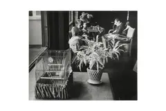 Untitled by Lord Snowdon, print, offered Jan 2025