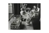 Untitled by Lord Snowdon, print, offered Jan 2025