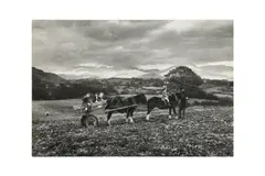 Untitled by Kurt Hutton, print, offered Jan 2025