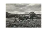 Untitled by Kurt Hutton, print, offered Jan 2025