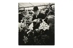 Untitled by David Moore, print, offered Jan 2025