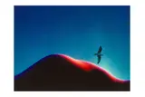 Untitled by Sam Haskins, print, offered Jan 2025
