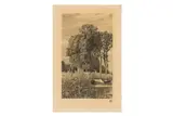 Untitled by Otto Protzen, pencil, offered Jan 2025