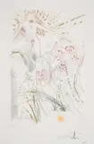 The Beloved Feeds Among the Lillies by Salvador Dalí, Etching printed in colours with gold dust, sold Jul 2024