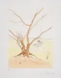 Asher, from Twelve Tribes of Israel (Field 72-6D; M&L 626) Engraving with drypoint and pochoir, 1972 by Salvador Dalí, Engraving with drypoint and pochoir, sold Jul 2024