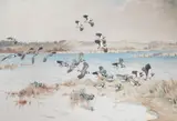 Lapwings in flight by Winifred Austen, 1944, watercolour on card, sold Jul 2024