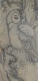 Preliminary drawing of a Tawny owl by Charles Frederick Tunnicliffe, pencil on paper, sold Jul 2024