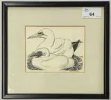 Gannet with chick by Robert Gillmor, ink on paper, sold Oct 2024