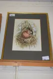 Dormouse by John Last, gouache, sold Oct 2024