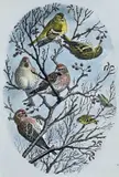 Untitled by Charles Frederick Tunnicliffe, watercolour, sold Apr 2025
