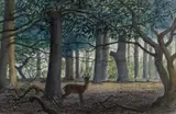 Roe Wood by Charles Frederick Tunnicliffe, Wood' on Tryon Gallery Ltd label, London, signed, sold Apr 2025