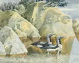 Blackthroats by Charles Frederick Tunnicliffe, watercolour, sold Apr 2025