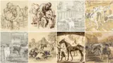 Series of eight mixed media sketches by Charles Frederick Tunnicliffe, mixed media, sold Apr 2025