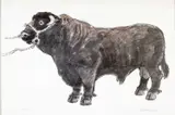 Limited edition by Kyffin Williams, print, offered Apr 2025