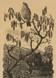 Untitled by Charles Frederick Tunnicliffe, lithograph, sold Apr 2025
