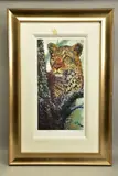 Alert for prey by Rolf Harris, print, sold Apr 2022