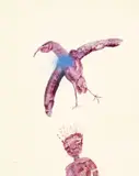 Bird + Man by Sidney Nolan, 1982, oil on paper, sold Apr 2021