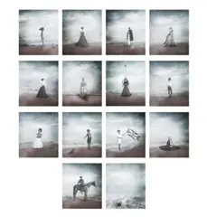 Civilised by Michael Cook, 2012, suite of fourteen inkjet prints on archival Canson Rag Infinity Photographique cotton paper, sold Nov 2020
