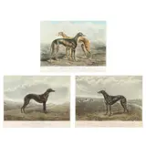 Misterton / Manager and Sea Pilot / Snowflight (Three Works) by Edwin Henry Hunt, Hand-colored aquatints, sold Oct 2025