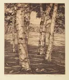 Untitled by Luigi Lucioni, etching "Birches and Beyond", sold Nov 2023