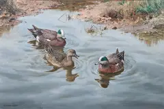 wildlife painting "American Wigeon" depicting (3) ducks in a pond by William Hollywood, oil on canvas, sold Dec 2023