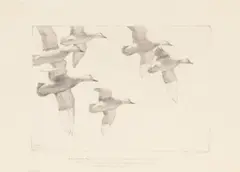 Untitled by Richard E. Bishop, Etching, sold Jul 2022