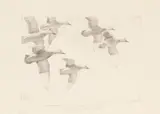 Untitled by Richard E. Bishop, Etching, sold Jul 2022